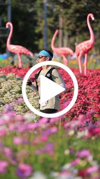 BIB:  <button type="button" onclick="openModal(27588567)" class="btn btn-primary btn-sm float-right" data-toggle="modal" data-target=".modal-high-quality">
                <i class="fa fa-download"></i> Download
                </button>